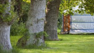 yourtes-celticyourte-camping-bretagne